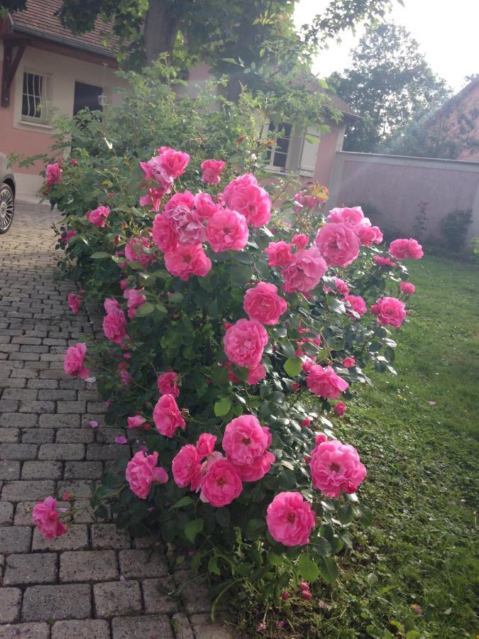 Rose Garden Mezzanine Bed & Breakfast Giverny Eksteriør bilde