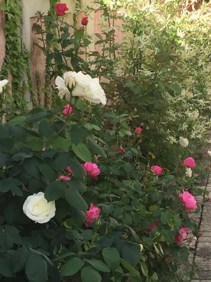 Rose Garden Mezzanine Bed & Breakfast Giverny Eksteriør bilde